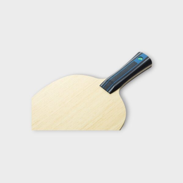Fan Zhendong ALC